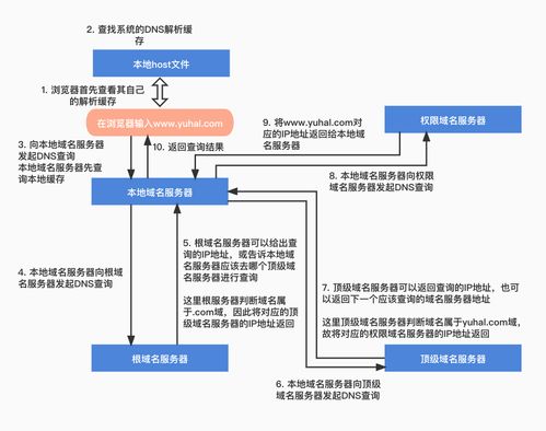 Linux 系統(tǒng) DNS 服務器搭建與配置實驗報告 - 信息系統(tǒng)運行維護服務